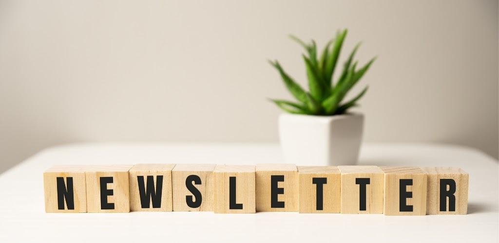 Dřevěné kostky s písmeny jsou vystavěné v řadě a tvoří slovo newsletter, v pozadí rostlina v květináči